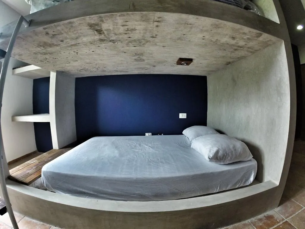Lobo De Mar Hostel Playa del Carmen