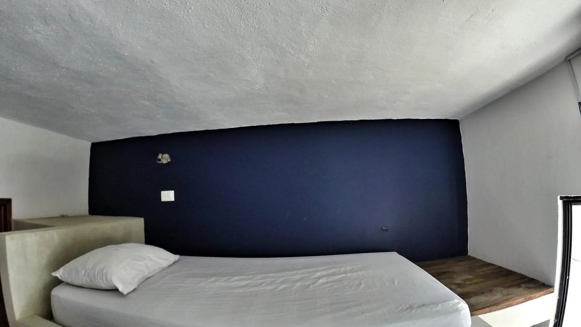 Lobo De Mar Hostel Playa del Carmen México