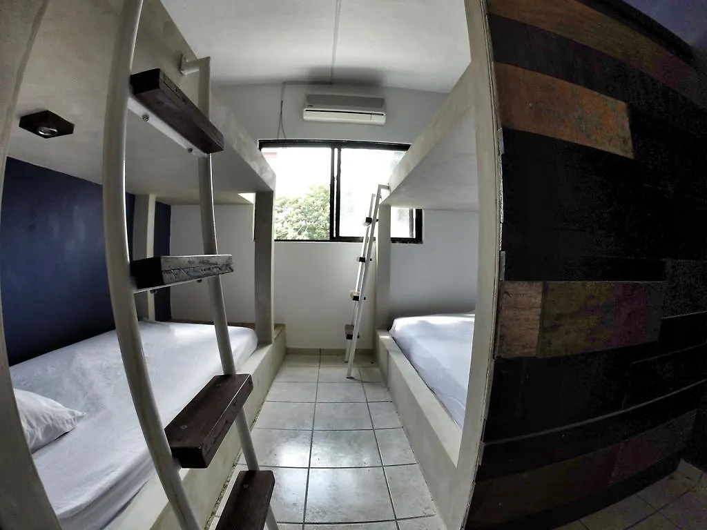 Lobo De Mar Hostel Playa del Carmen