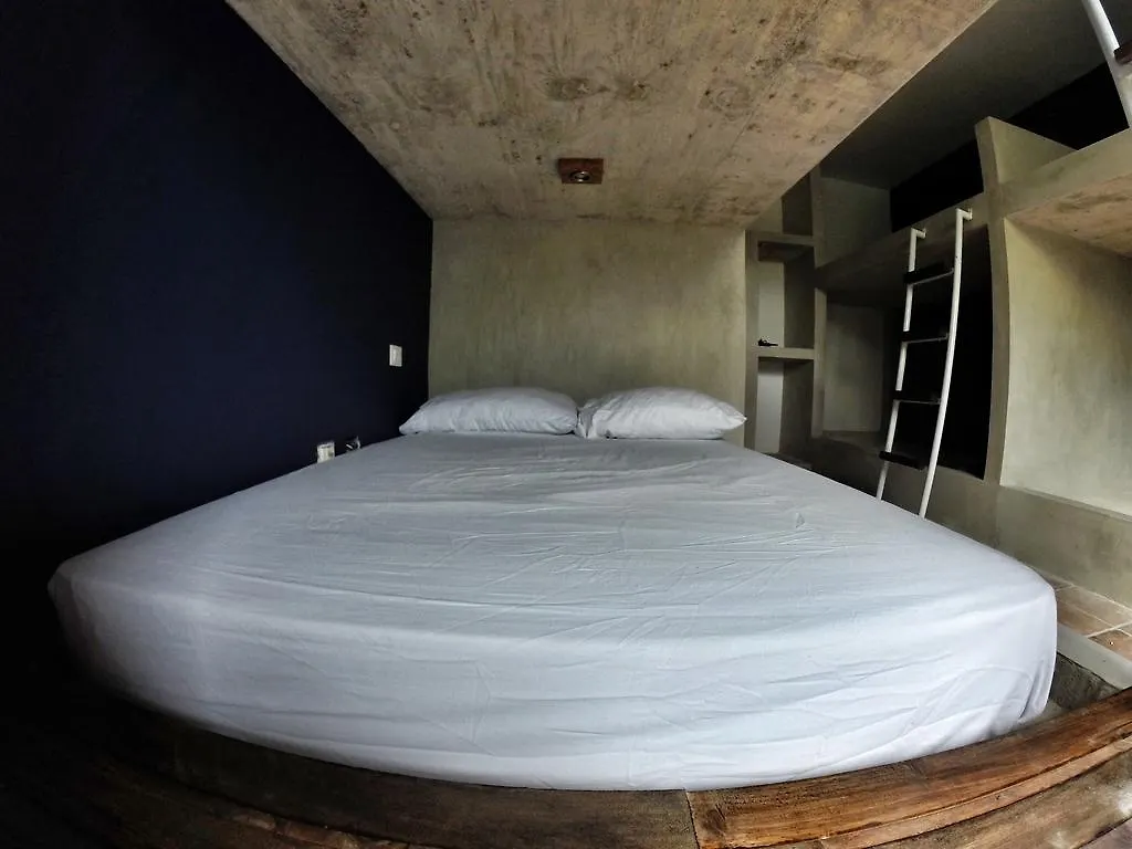 Lobo De Mar Hostel Playa del Carmen Mexico