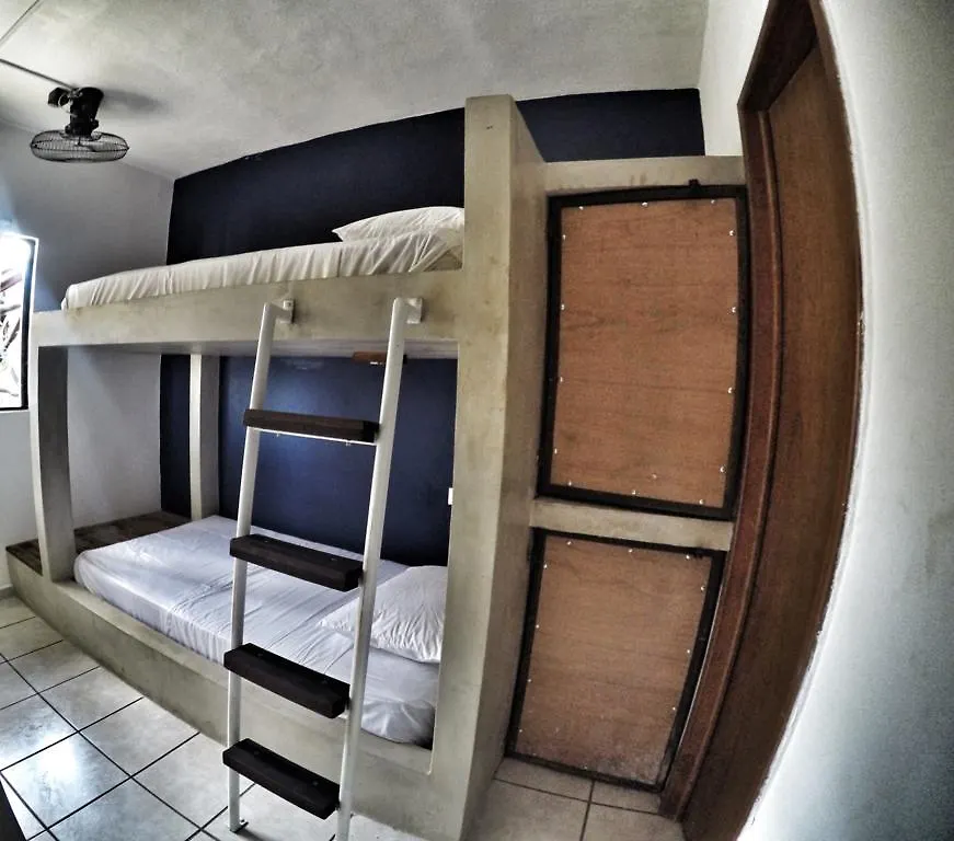 Lobo De Mar Hostel Playa del Carmen 0*,  México