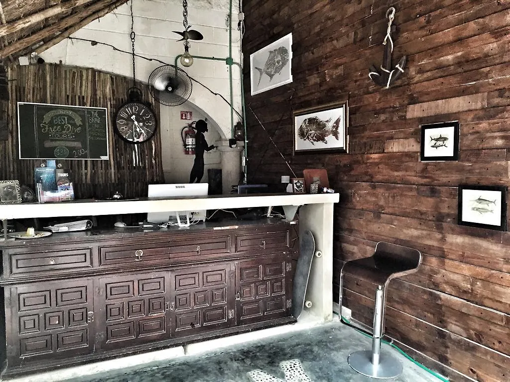 Lobo De Mar Hostel Playa del Carmen