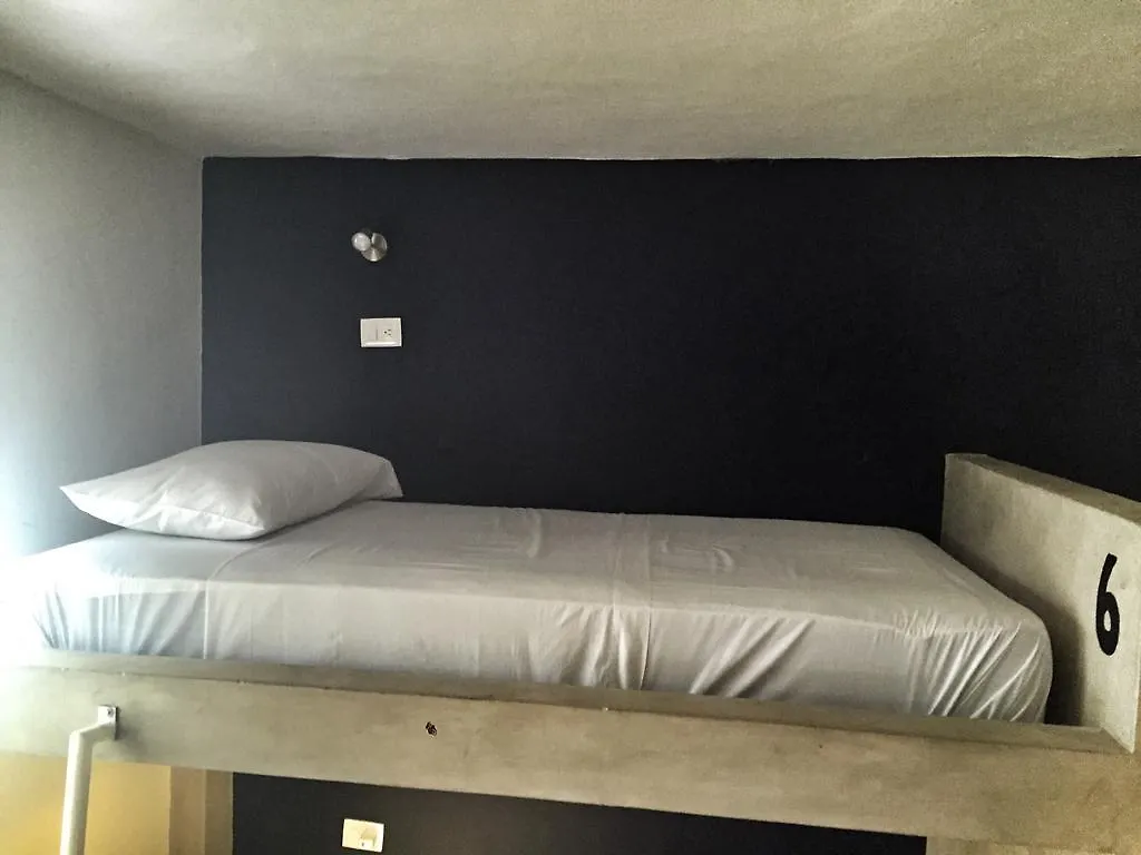 Lobo De Mar Hostel Playa del Carmen Mexico