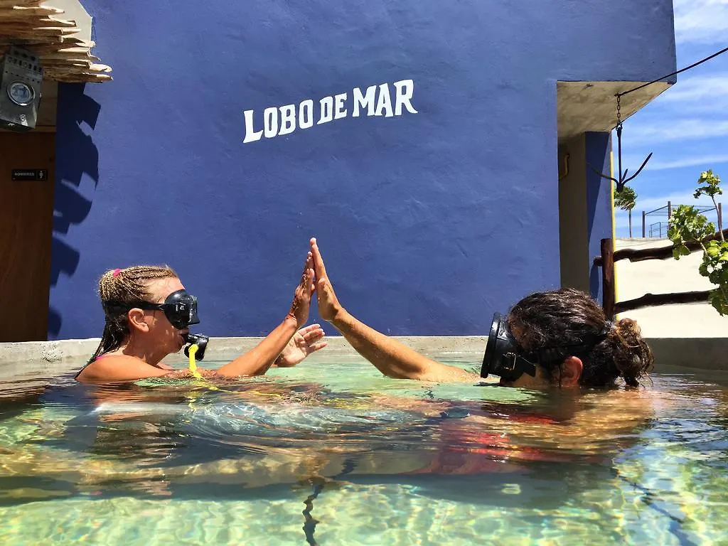 Lobo De Mar Hostel Playa del Carmen México