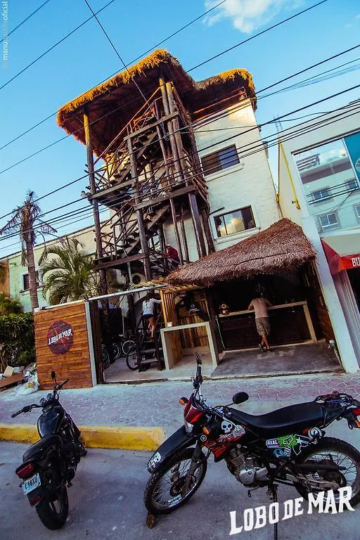 Lobo De Mar Hostel Playa del Carmen