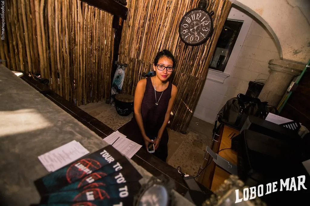 Lobo De Mar Hostel Playa del Carmen
