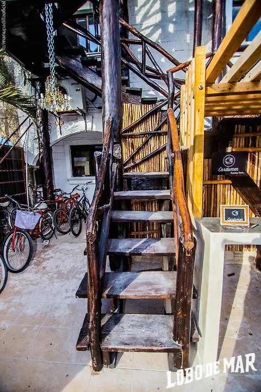 Lobo De Mar Hostel Playa del Carmen México