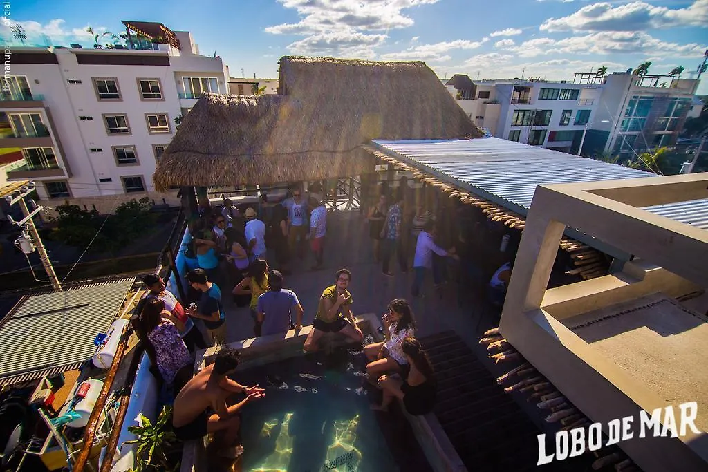 Lobo De Mar Hostel Playa del Carmen