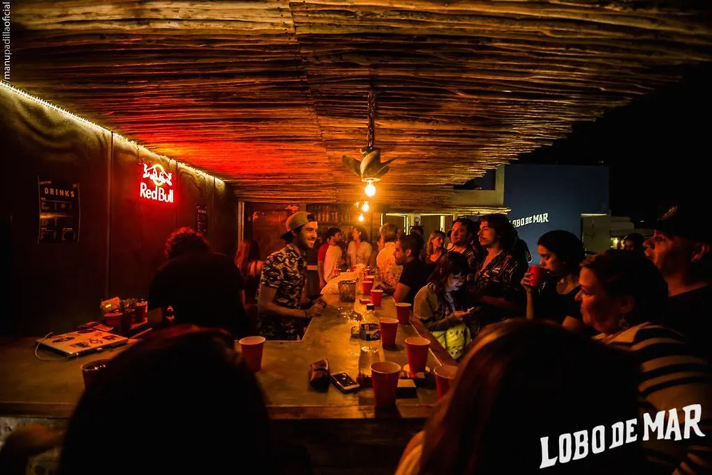 Lobo De Mar Hostel Playa del Carmen México