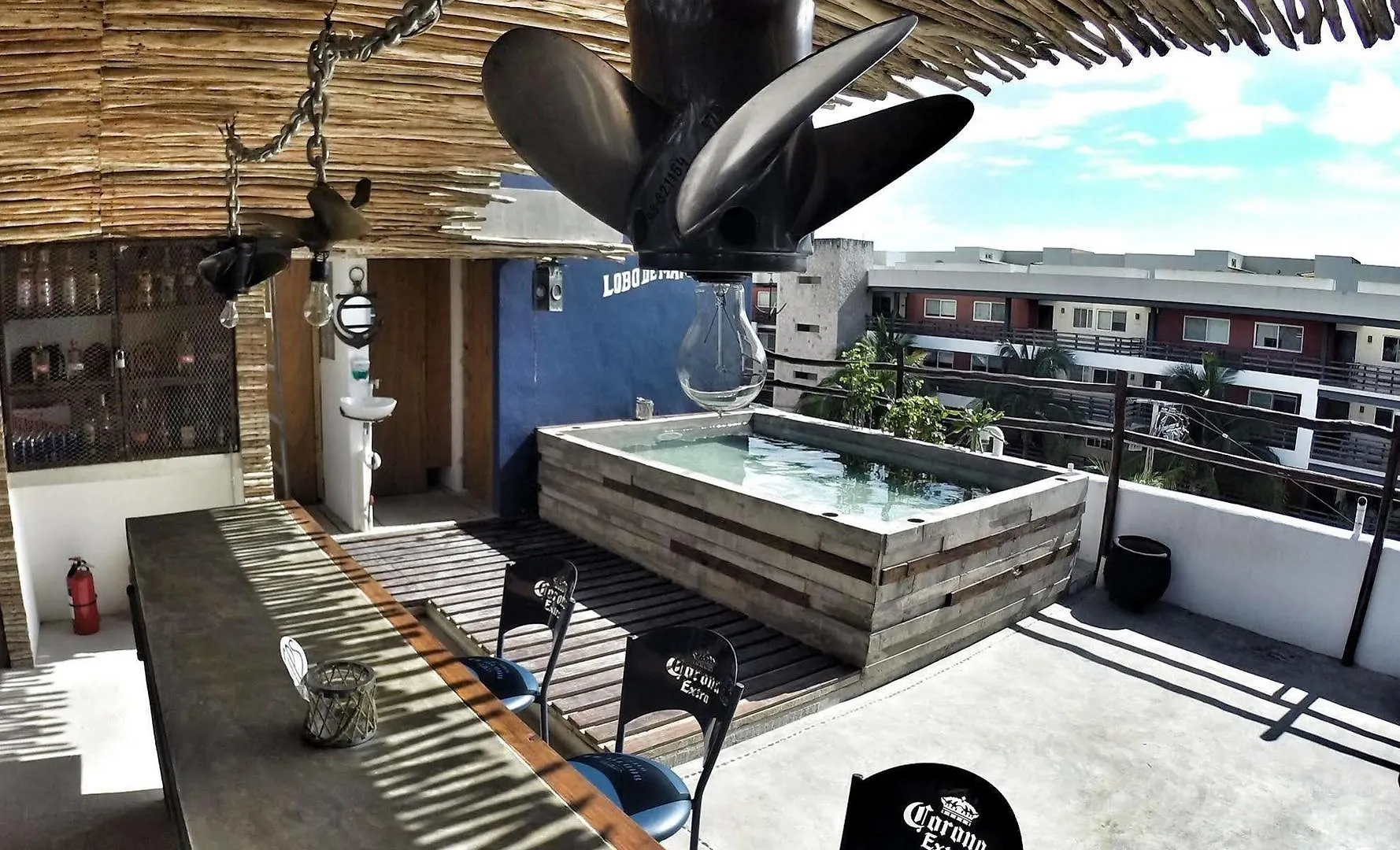 Lobo De Mar Hostel Playa del Carmen