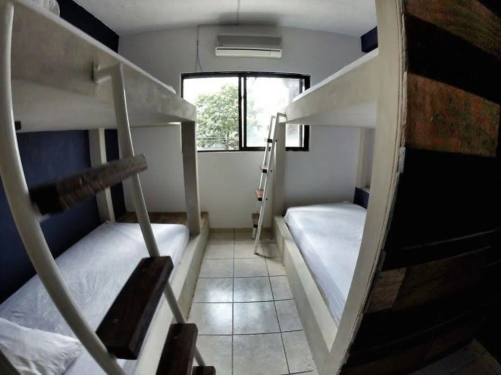 Lobo De Mar Hostel Playa del Carmen